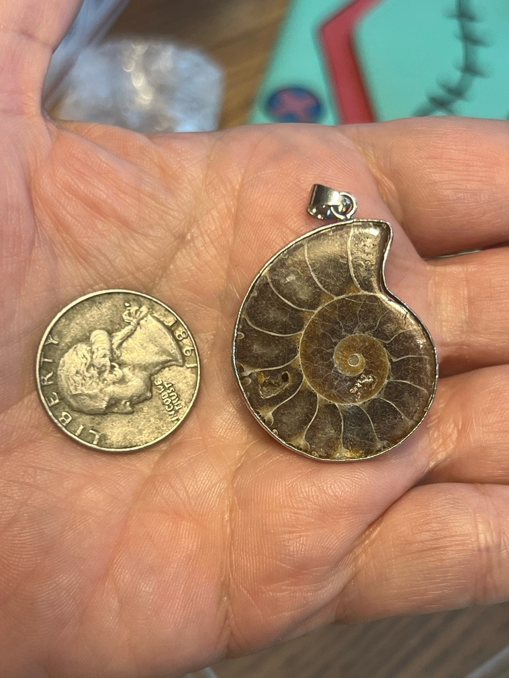 Ammonite Fossil Pendant